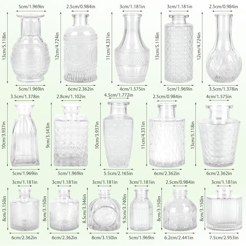 Glass Bud Vase Set of 16 Pcs