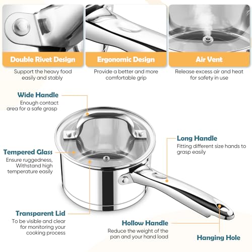 1 Qt Saucepan with Lid (1 Quarts)