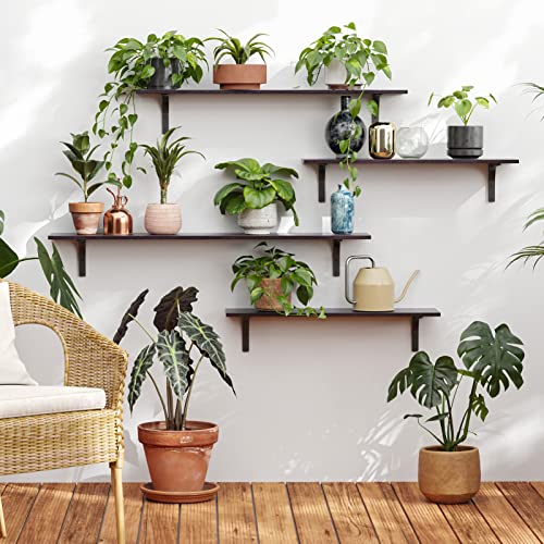 Long Wall Shelves (Espresso / 55.1 Inch)
