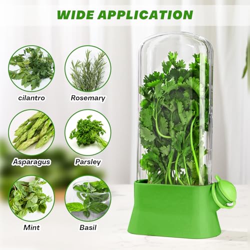 2 Pcs Herb Saver for Refrigerator Fresh Herb Keeper (Green)