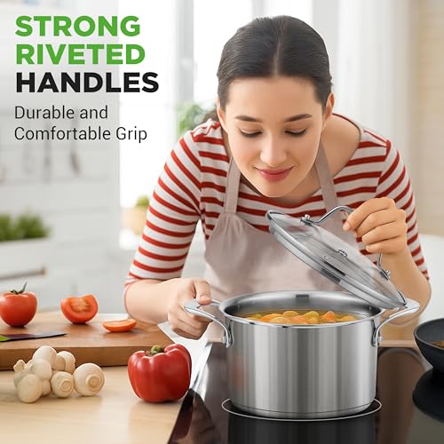 6 Quart Stainless Steel Stockpot