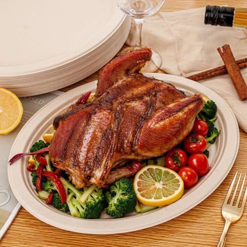 100% Compostable Oval Paper Plates 12 Inch 125 (Natural / 12Inch（125 PCS）)