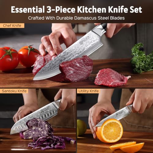 3 Pieces Chef Knife Set (Black,Silver)