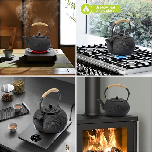 Japanese Tetsubin Cast Iron Teapot Tea Kettle pot with Stainless Steel Infuser for Stovetop Safe Coated with Enameled Interior 30 oz (30 oz / 900 ml)