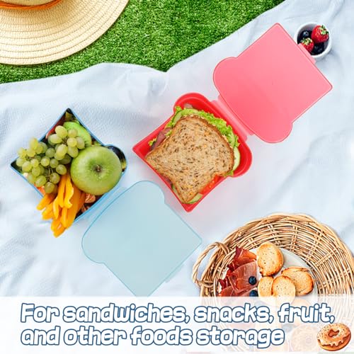 20 Oz Sandwich Containers for Kids (2 Colors)