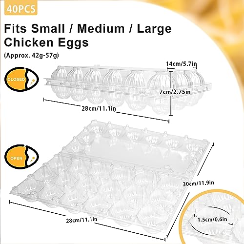 40 Pack Egg Cartons (Medium-40PK-18CT)