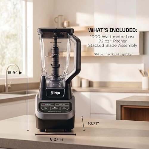 Professional Blender (Black/Gray)