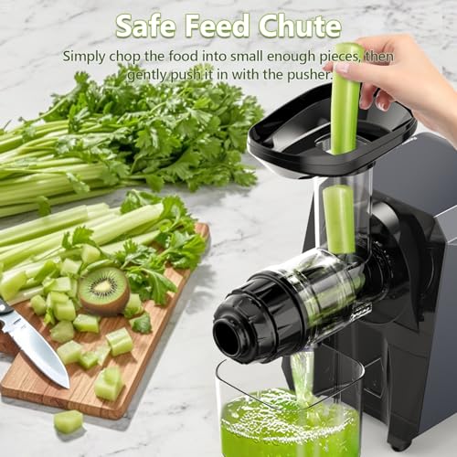 2-In-1 Masticating Fruit Vegetable Juicer Machine & Electric Coffee Grinder (Black)