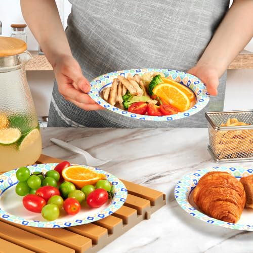 8.375 Inch Paper Plates (288 Count (Pack of 1))