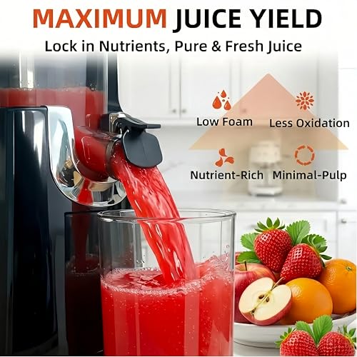 Cold Press Juicer Machines (Red)