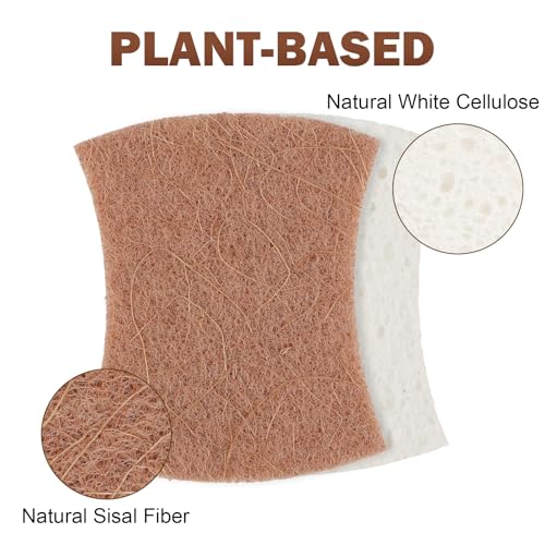 Non Scratch Scrub Sponge (24 Count)