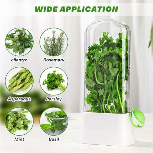 2 Pcs Herb Saver for Refrigerator Fresh Herb Keeper (White)