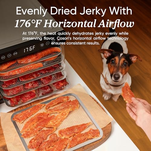 Food Dehydrator (Silver / 5 Trays (3.1ft² Drying Space))