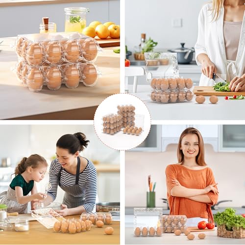 80 Pack Egg Cartons Cheap Bulk (3x4-80pcs)
