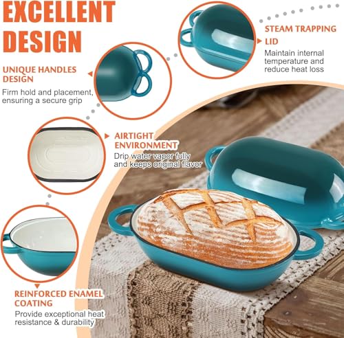 2.5 QT Enameled Cast Iron Sourdough Bread Oven (BlueGreen / 2.5 QT)