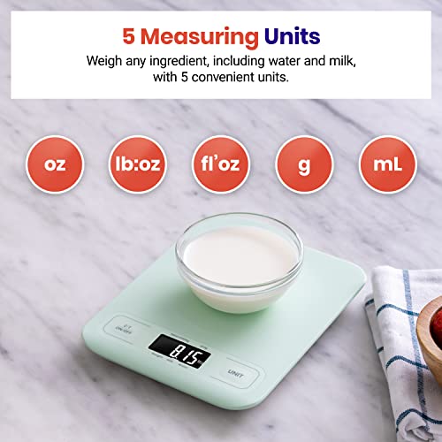 Food Kitchen Scale (Mint Green)