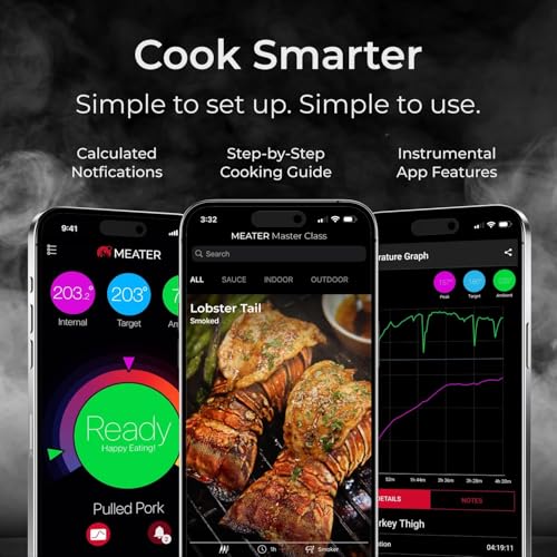 Pro Wireless Thermometer w