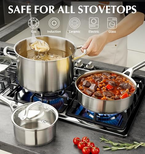 Stainless Steel Cookware Set 17 Piece with 5 Layer Base (Silver / 17 Pcs)