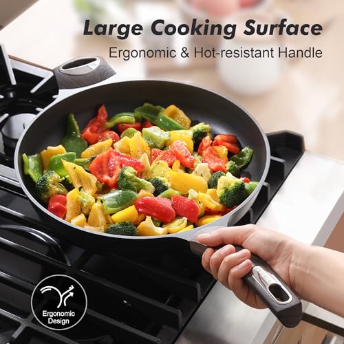 12.5inch Nonstick Frying Pan Paella Pan with Lid (12.5 Inch / NIGHT Black)