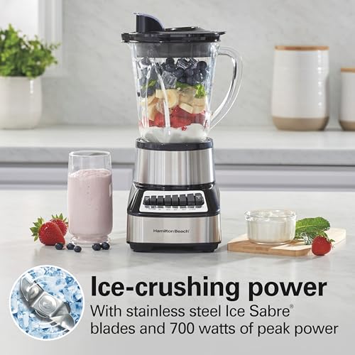 Wave Crusher Blender For Smoothies With 40 Oz Glass Jar and 14 Functions (Stainless Steel / 40oz / Blender)