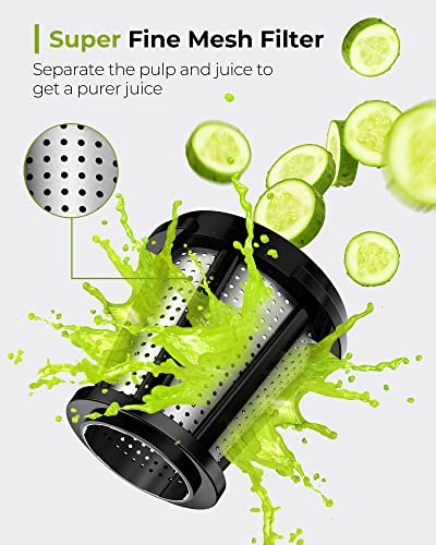 Slow Masticating Juicer with 2
