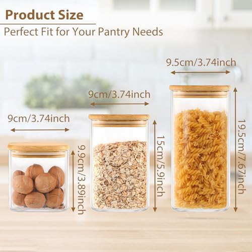 6 Pack Square Glass Storage Containers with Bamboo Lids (6 Count)