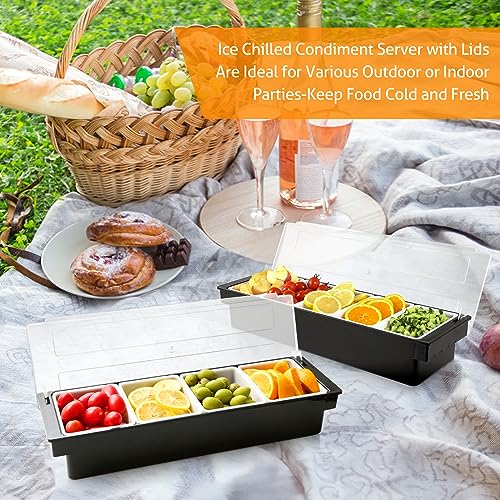 Ice Chilled Condiment Caddy with Lid and 4 Removable Trays (4 Compartment, 2 Pack)