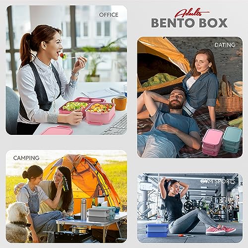 Adult Bento Box Lunch Box