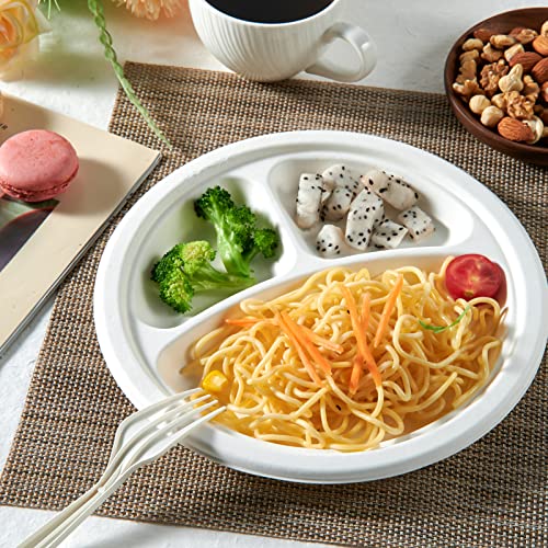 Compostable Paper Plates (3 Compartment 9 inch White)