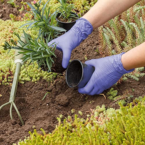Biodegradable Disposable Nitrile Gloves X Large (X Large)