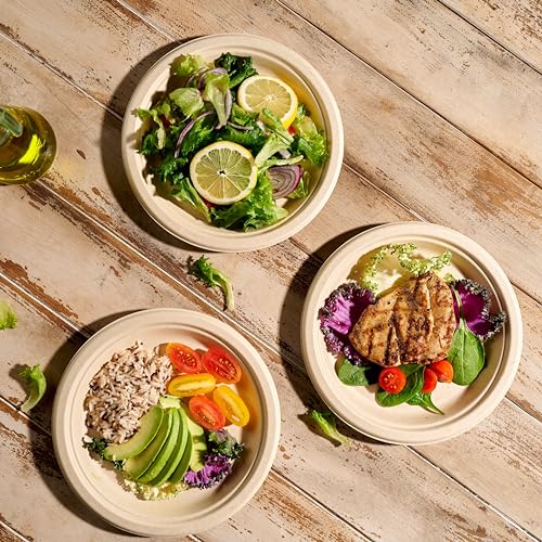 100% Compostable Paper Plates 150 Pack (10 Inch)
