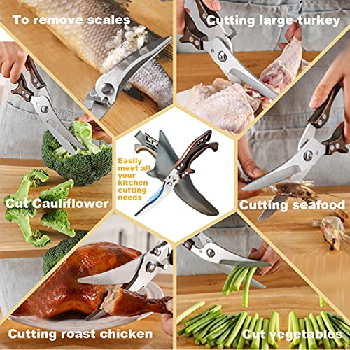 Kitchen Scissors