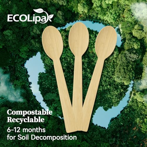 300 Count Disposable Compostable Bamboo Spoons for Party (spoons)