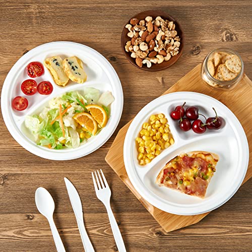 Compostable Paper Plates (3 Compartment 9 inch White)