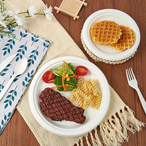 120 Pack Compostable Paper Plates Disposable (9 inch and 7 inch)