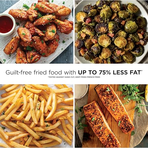 Air Fryer Pro (Cyberspace)