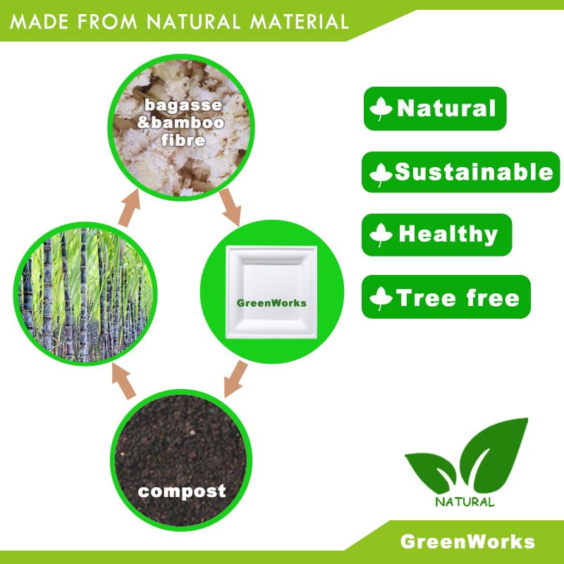 100 Count 6 Inch Small Square Compostable plates (6 Inch)