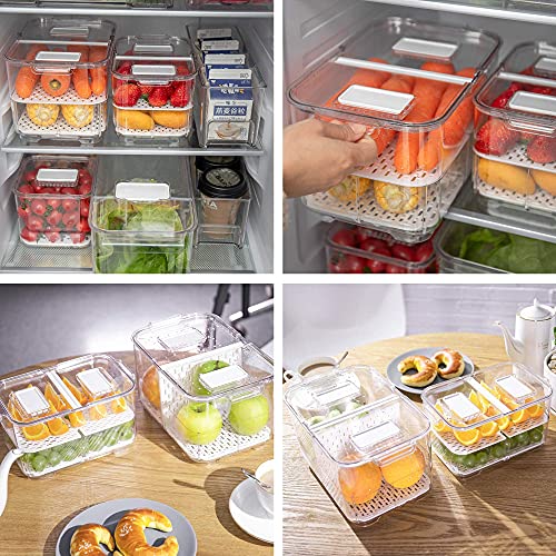 Produce Saver with Lids (M+L)