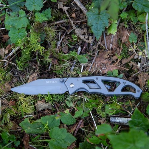 Gear Paraframe I EDC Folding Pocket Knife with Clip (3" / Paraframe I (Fine Edge - Stainless Steel))