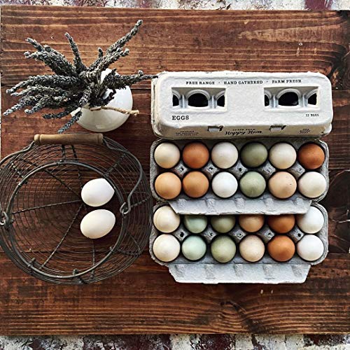 Egg Cartons Adorable Printed Design for Farm Fresh Eggs (Blank Stamping / 25)