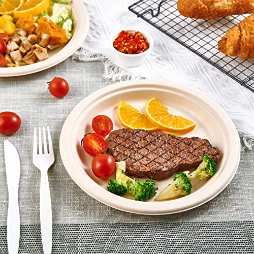 150 Pack Paper Plates 9 inch 100% Compostable (9 in Nature 150)