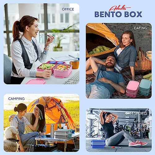 Adult Bento Lunch Box