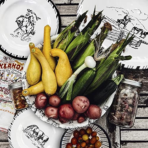 Ranch Life 14 Piece Melamine Plastic Dinnerware Set with Plates (14 Piece / Ranch Life)