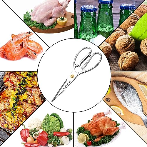 Heavy Duty Stainless Steel Kitchen Shears