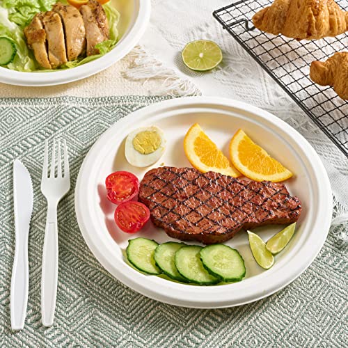 150 Pack Paper Plates 9 inch 100% Compostable (9 in White 150)