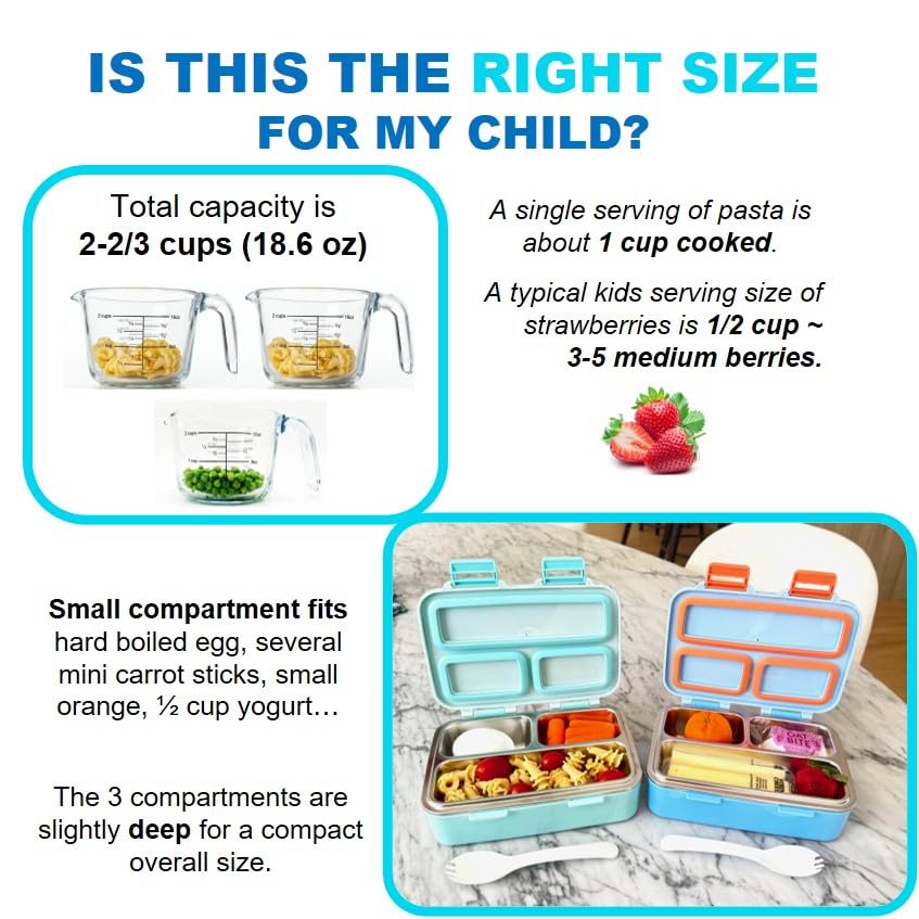 Small Stainless Steel Lunch Box for Baby Toddlers