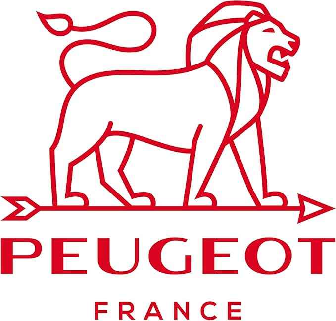 Peugeot - Appolia Rectangular Oven Dish - Ceramic Baker with Handles - Eggplant, 10 x 8 x 2.5 inches 32 cm 61029