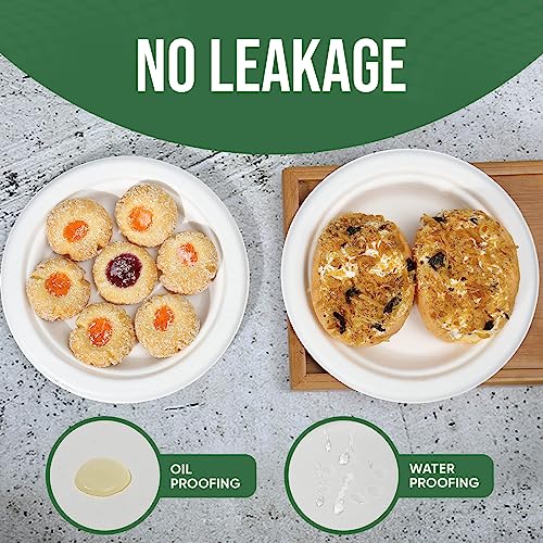 7 Inch Paper Plate 100 Pack White Disposable (White / 7 IN)