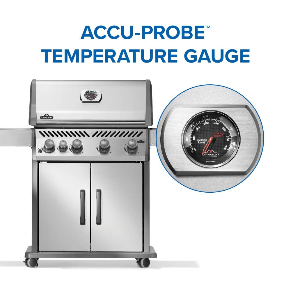 Rogue 525 4 Burner Natural Gas Grill with Range Side Burner (Natural Gas / Stainless Steel / Rogue 525)