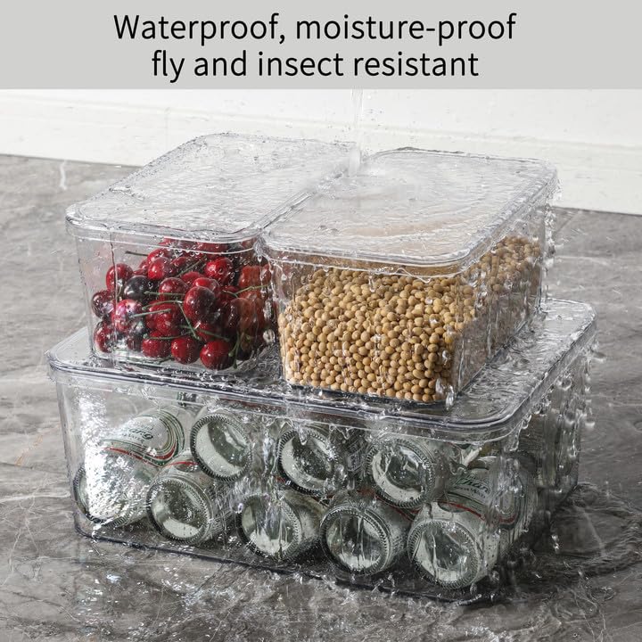 Clear Storage Bins With Lids (3L+2S)
